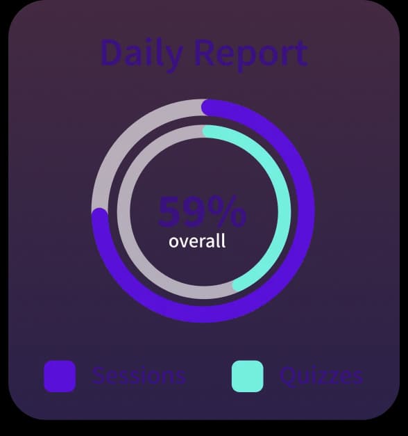 daily report example image